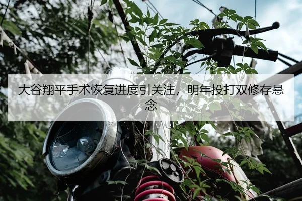 大谷翔平手术恢复进度引关注，明年投打双修存悬念