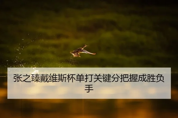 张之臻戴维斯杯单打关键分把握成胜负手